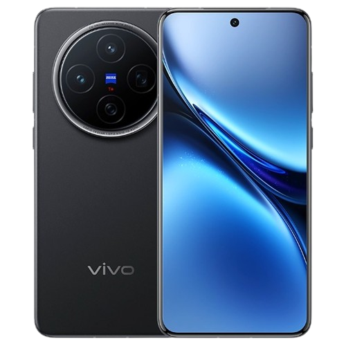 Vivo X300