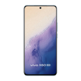 Vivo X60