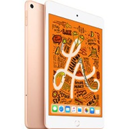 iPad Mini 5th Gen (Wi-Fi + Cellular)
