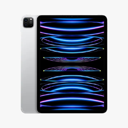 iPad Pro 11 4 th Gen (WiFi Only)
