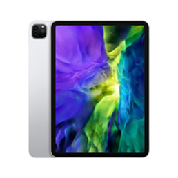iPad Pro 11 2nd Gen (Wi-Fi + Cellular)