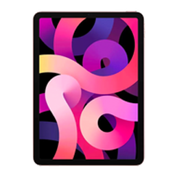 iPad Air 4th Gen (Wi-Fi + Cellular)